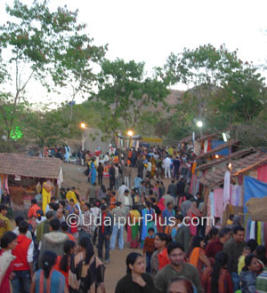 Shilpgram Festival 2008, Udaipur.